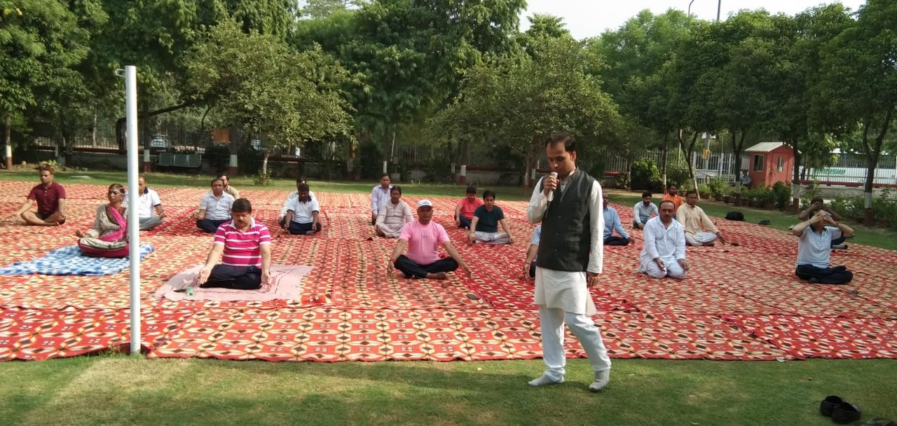 Outdoor corporate yoga session for a company team